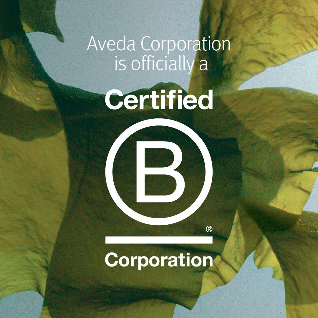 Celebrating Aveda's Certification as a B Corporation