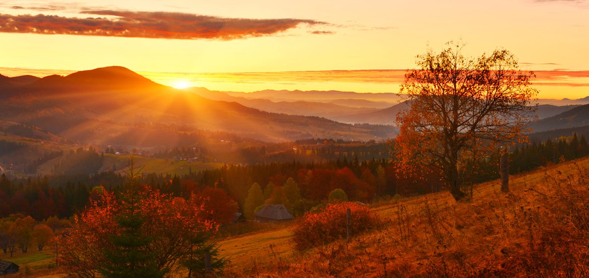 Scenic fall landscape with colorful autumn leaves, representing Rejuvenation Spa’s September specials.